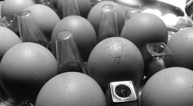 42160641_1865890793501445_8599952302570209280_n